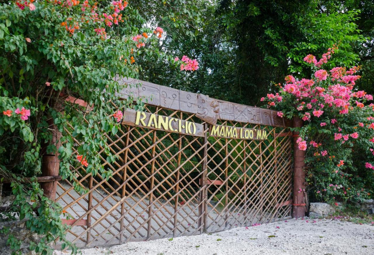 Rotamundos Mama Loomm Hotel ปลายาเดลการ์เมน ภายนอก รูปภาพ